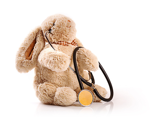 포토 JPG 해외이미지 산업 어린이 백그라운드 청진기 건강 병원 사람없음 장난감 약 갈색 고통 의사 흰색 토끼 질병 부드러움 폭식 고립 돌봄 소아과의사 해외202004 해외포토 감정 컬러 포유류 의학 의료기기 모션 사람 반려동물 의료진 감각 파일형식 이미지허브