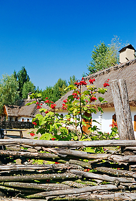 포토 JPG 해외이미지 나무 식물 열매 꽃 잎 과일 자연 하늘 주택 사람없음 빨간색 초록색 울타리 마을 정원 나뭇가지 막대기 다발 원예 짜임 묘목 법정 숙성 해외202004 해외포토 컬러 취미 건물 담장 생태계 파일형식 이미지허브