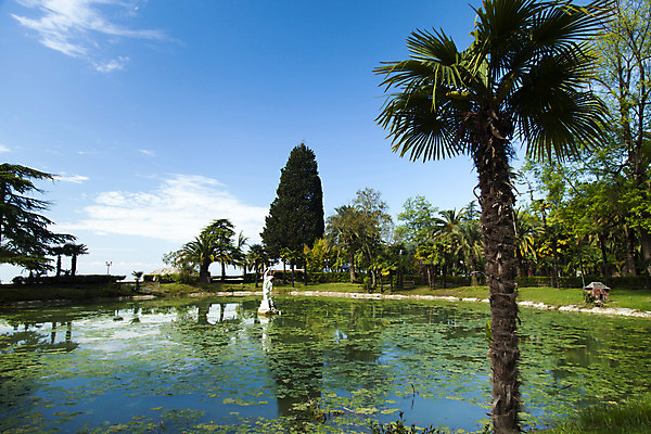 포토 JPG 해외이미지 나무 식물 구름 공원 도로 모래 벽 바다 섬 여행 백그라운드 과일 자연 하늘 휴가 휴식 손바닥 풍경 사람없음 야외 초록색 여름 파란색 태양 맑음 미국 흰색 나뭇가지 뜨거움 장면 코코넛 내추럴 고립 마이애미 이국적 파라다이스 플로리다 해외202004 해외포토 자연요소 손 계절 공공시설 길 컬러 컨셉 북아메리카 교통시설 날씨 생태계 파일형식 이미지허브