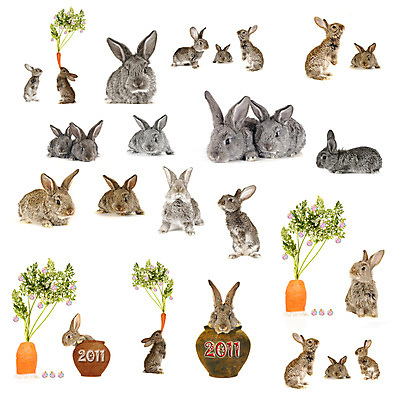 포토 JPG 해외이미지 나무 아이콘 크리스마스 겨울 일러스트 포유류 자연 휴가 새로움 미술 사람없음 가로 반려동물 장난감 산타클로스 당근 회색 달력 흰색 축하 토끼 신선 유머 만화 연도 귀 동쪽 고립 숙성 여의주 클라우스 해외202004 해외포토 식물 동물 계절 기념일 감정 컬러 컨셉 문화예술 뿌리채소 신체부위 방향 생태계 파일형식 이미지허브