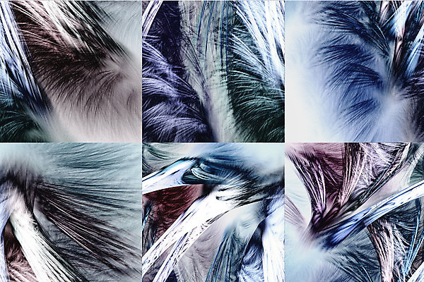 포토 JPG 해외이미지 디자인 백그라운드 오렌지 일러스트 창문 벽지 추상 기술 미술 사람없음 초록색 파란색 빛 컴퓨터 노란색 유행 보라색 웹 어둠 화목 네트워크 질감 예술가 직사각형 혼란 스타일 해외202004 해외포토 도형 컬러 컨셉 무늬 인터넷 과일 문화예술 전자제품 파일형식 이미지허브