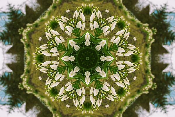 포토 JPG 해외이미지 디자인 꽃잎 꽃 백그라운드 꽃무늬 패턴 자연 추상 프레임 국화 사람없음 파란색 유행 보라색 거울 질감 부족 대칭 만다라 만화경 스노드롭 해외202004 해외포토 식물 컬러 컨셉 무늬 장난감 생태계 파일형식 이미지허브