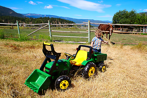 포토 JPG 해외이미지 백인 라이프스타일 남자 행복 어린이 밭 농업 장난 자연 놀이 부츠 한명 사람 소년 야외 초록색 여름 금발 농장 노란색 장비 청바지 시골 작업 볏짚 농부 트랙터 밭일 해외202004 해외포토 서양인 직업 1 헤어스타일 계절 감정 산업 컬러 신발 바지 생활 짚 농기계 생태계 특수차량 파일형식 이미지허브