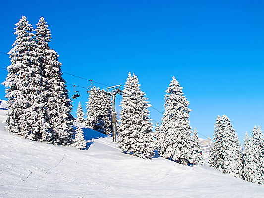 포토 JPG 해외이미지 계절 유럽 스포츠 여행 겨울 자연 하늘 휴가 스키 휴식 산 파노라마 풍경 경사 사람없음 야외 파란색 평화 냉동 얼음 침묵 추위 흰색 스노우보드 가루 고도 스위스 휴양지 알프스 선로 절정 눈내림 해외202004 해외포토 자연요소 나라 컬러 컨셉 겨울스포츠 눈_날씨 촬영기법 소리 장소 보드_스포츠 생태계 파일형식 이미지허브