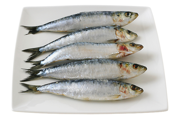 포토 JPG 해외이미지 전통 접시 음식 건강 어류 사람없음 식사 신선 지중해 포르투갈 해산물 점심식사 고립 생식 해외202004 해외포토 식기 유럽 바다 수중동물 파일형식 이미지허브