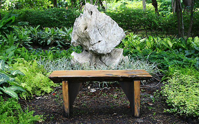 포토 JPG 해외이미지 나무 식물 계절 공원 꽃 길 가구 잎 벤치 의자 자연 휴식 풍경 잔디 사람없음 야외 목재 초록색 물 여름 컬러풀 정원 침묵 봄 기쁨 젖음 튤립 시간 고독 오브젝트 장면 내추럴 무료 옛날 해외202004 해외포토 자연요소 공공시설 감정 컬러 생활용품 컨셉 재료 소리 생태계 파일형식 이미지허브