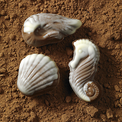 포토 JPG 해외이미지 음식 백그라운드 표면 실내 사탕 사람없음 내부 인테리어 갈색 초콜릿 닫기 달콤 유혹 먹기 묘사 영양 칼로리 코코아 영양분 정물화 카카오 해로움 프랄린 솔깃 해외202004 해외포토 디자인 음료 컬러 컨셉 모션 디저트 맛 그림 파일형식 이미지허브