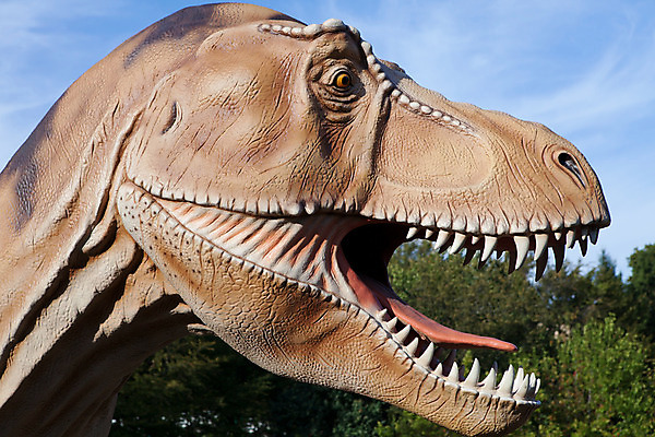 포토 JPG 해외이미지 나무 동물 1 파충류 사람없음 초록색 머리 여행객 오픈 입 치아 도마뱀 과거 육식동물 고생물 멸종 선사시대 턱 옛날 쥬라기 해외202004 해외포토 식물 컬러 컨셉 생물 사람 신체부위 소화기관 역사 파일형식 이미지허브