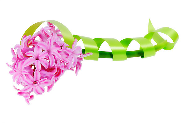 포토 JPG 해외이미지 식물 계절 꽃잎 꽃 분홍색 백그라운드 잎 꽃무늬 자연 발렌타인데이 선물 사람없음 초록색 파란색 컬러풀 봄 벚꽃 흰색 신선 개화 날짜 심볼 묘사 싱글 엽서 테이프 라일락 내추럴 강렬 고립 히아신스 해외202004 해외포토 컬러 무늬 데이이벤트 문구용품 편지 생태계 파일형식 이미지허브