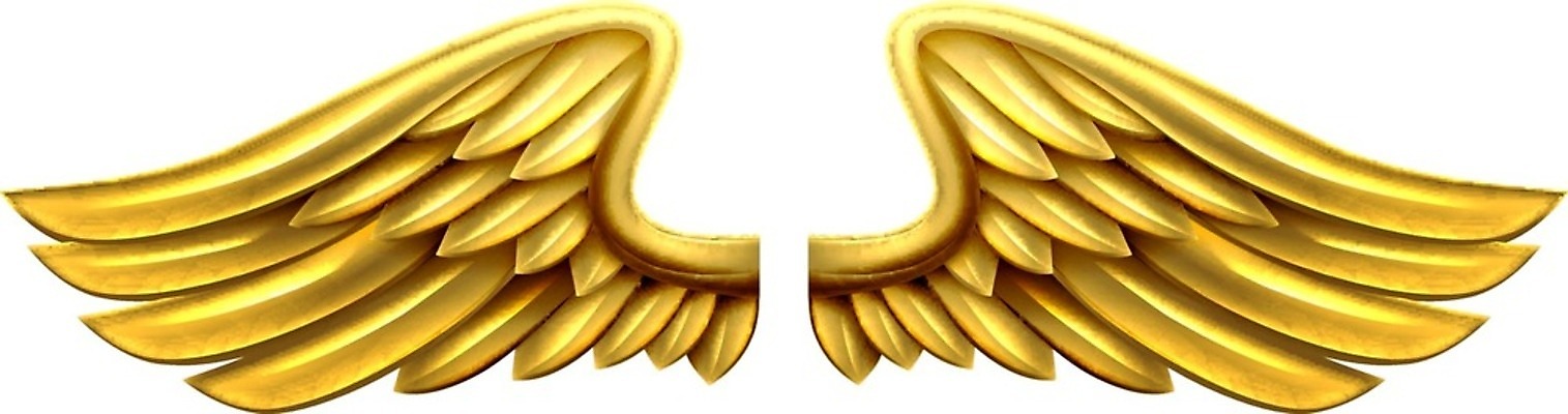 EPS 해외이미지 클립아트 디자인 종교 백그라운드 날개 일러스트 자동차 조류 추상 천사 미술 그래픽 세트 3D 금속 펼침 수확 흰색 쌍 황금 은색 문신 심볼 깃털 사인 그림 클립 독수리 공상 휘장 고딕 고립 엘리먼트 철강 해외202004 해외일러스트 동물 육상교통 컬러 무늬 농업 모션 재질 문화예술 디지털합성 파일형식 벡터 이미지허브