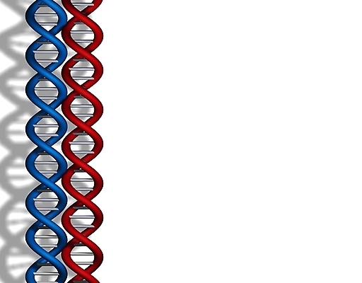 포토 JPG 해외이미지 과학 패턴 자연 세포 나선형 사람 사람없음 약 바이러스 선택 암호 질병 DNA 생명공학 생물학 염색체 탐사 공학 더블 바이오 신맛 유전 해외202004 해외포토 교육 컨셉 무늬 의학 맛 생태계 파일형식 이미지허브