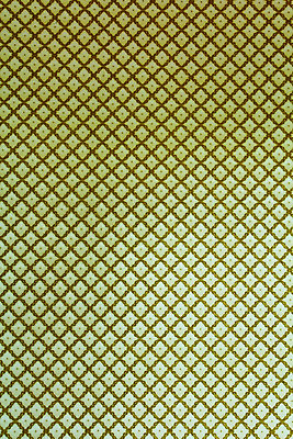 포토 JPG 해외이미지 식물 디자인 종이 벽 백그라운드 잎 꽃무늬 패턴 곡선 일러스트 벽지 미술 사람없음 장식 어둠 카펫 골동품 소용돌이 직물 화려 재산 고급 우아함 실크 질감 복고 구식 르네상스 바로크 엘리먼트 옛날 회복 스타일 해외202004 해외포토 꽃 선 컨셉 무늬 문화예술 금융 회오리 파일형식 이미지허브