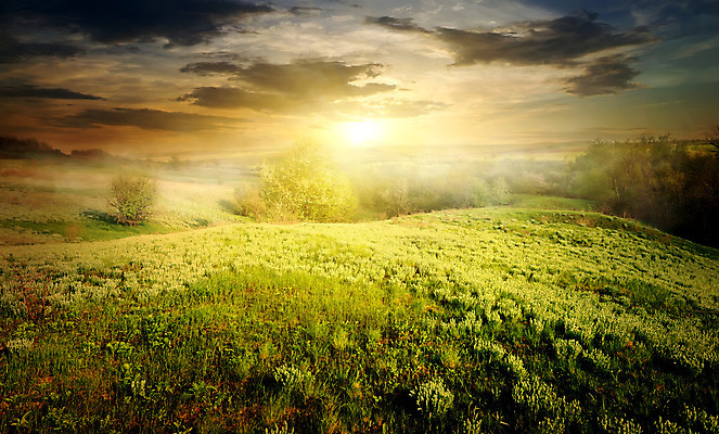 포토 JPG 해외이미지 나무 식물 구름 자연 하늘 날씨 풍경 잔디 사람없음 야외 햇빛 태양 어둠 황혼 일몰 안개 가을 숲 언덕 폭풍 땅바닥 해외202004 해외포토 자연요소 계절 바닥 노을 생태계 파일형식 이미지허브