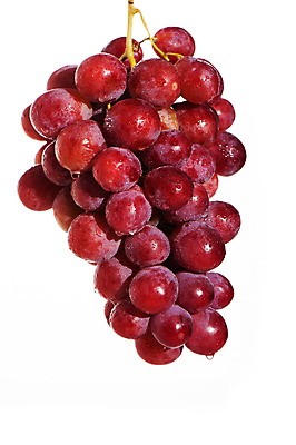 포토 JPG 해외이미지 식물 1 계절 열매 음식 백그라운드 잎 농업 다이어트 과일 재료 자연 포도 디저트 건강 사람없음 빨간색 초록색 와인 보라색 주스 젖음 수확 가을 흰색 나뭇가지 신선 그룹 달콤 맛 떨어짐 다발 먹기 유기농 날것 포도나무 내추럴 고립 숙성 채식주의자 해외202004 해외포토 나무 웰빙 산업 음료 컬러 컨셉 모션 주류 과일나무 생태계 채식 파일형식 이미지허브