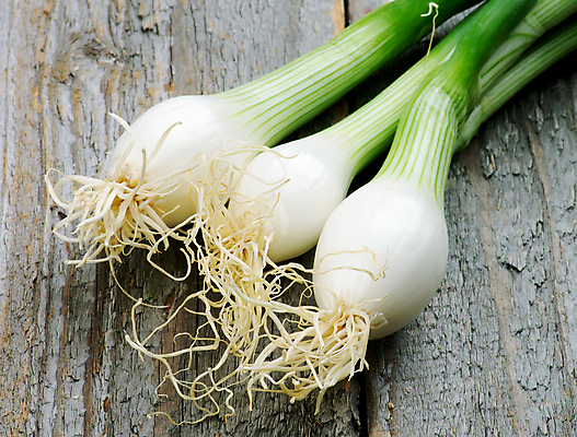 포토 JPG 해외이미지 음식 줄기 채소 재료 프레임 사람없음 초록색 노란색 회색 흰색 시골 신선 상쾌 유기농 날것 부추 파 건강식 쪽파 숙성 채식주의자 해외202004 비건음식 해외포토 식물 웰빙 감정 컬러 채식 파일형식 비건 이미지허브