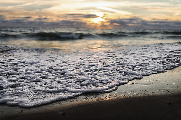 포토 JPG 해외이미지 구름 공원 야생동물 파도 바다 여행 자연 바람 날씨 휴가 덴마크 국립공원 풍경 사람없음 야외 물 여름 모래사장 평화 환경 일몰 자유 서핑 황무지 클래식 고독 저녁 즐거움 드라마 멀리 기후변화 수평선 해외202004 해외포토 자연요소 동물 계절 공공시설 감정 컨셉 북유럽 노을 수상스포츠 변화 야간 생태계 파일형식 이미지허브