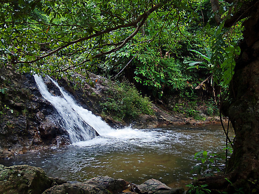 포토 JPG 해외이미지 나무 식물 공원 아시아 여행 잎 태국 자연 산 바닥 동양인 풍경 사람없음 야외 물 여름 세계 환경 폭포 젖음 바위 개울 재산 선택 숲 당구 즐거움 수로 운하 층 내추럴 루트 전국 파라다이스 현재 해외202004 해외포토 자연요소 계절 공공시설 감정 나라 컨셉 인종 금융 강 구기 돌_바위 생태계 파일형식 이미지허브