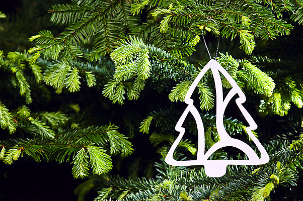 포토 JPG 해외이미지 크리스마스장식 크리스마스 휴가 매달리기 사람없음 장식 초록색 컬러풀 크리스마스트리 파티 나뭇가지 소나무 심볼 상록수 노엘 해외202004 해외포토 나무 기념일 컬러 모션 이벤트 파일형식 이미지허브