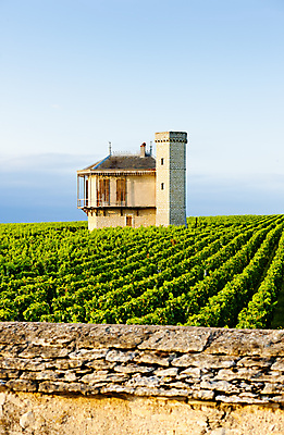 포토 JPG 해외이미지 외관 유럽 농업 건축양식 사람없음 야외 건물 프랑스 시골 포도밭 서유럽 해외202004 해외포토 건축물 건축 나라 산업 밭 파일형식 이미지허브