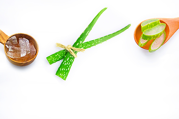 포토 JPG 해외이미지 스튜디오촬영 단면 실내 사람없음 초록색 흰배경 나무숟가락 나무그릇 알로에 해외202004 해외포토 식물 그릇 컬러 백그라운드 내부 목재 숟가락 흰색 파일형식 이미지허브