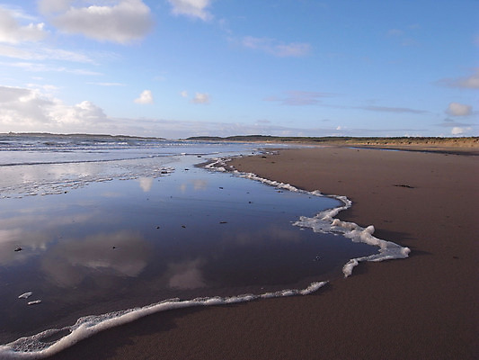 포토 JPG 해외이미지 구름 모래 바다 조류 하늘 휴가 영국 웨일즈 풍경 사람없음 물 모래사장 반사 거품 모래언덕 순수 해외202004 해외포토 자연요소 동물 유럽 컨셉 언덕 파일형식 이미지허브