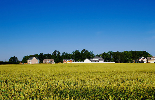 포토 JPG 해외이미지 식물 밭 농업 자연 부동산 새로움 주택 풍경 사람없음 야외 농장 농경지 환경 미국 수확 성장 시골 도시 재산 확대 땅 멸종 이웃 대출 개발 교외 밭일 진짜 해외202004 해외포토 산업 컨셉 북아메리카 건물 금융 생태계 파일형식 이미지허브