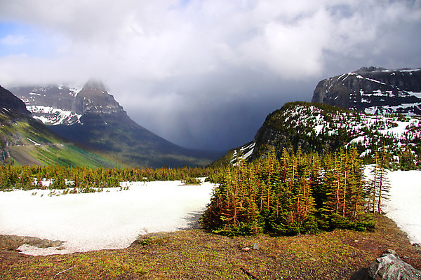 포토 JPG 해외이미지 나무 구름 공원 도로 여행 겨울 자국 자연 하늘 산 풍경 사람없음 평화 계곡 미국 하이킹 소나무 숲 그림 빙하 통과 산악지대 전국 절정 해외202004 해외포토 자연요소 식물 계절 공공시설 길 컨셉 북아메리카 교통시설 레저 생태계 파일형식 이미지허브