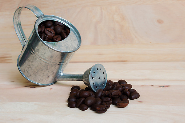 포토 JPG 해외이미지 커피 백그라운드 컨셉 회사 탁자 아침 휴식 콩 바닥 사람없음 목재 갈색 검은색 카페 미니어처 물뿌리개 원두 수확 얼룩 칼 아침식사 냄비 굽기 질감 에스프레소 내추럴 단절 블랙커피 옛날 해외202004 해외포토 주간 나무 음료 컬러 가구 농업 비즈니스 재료 곡류 모형 상점 식사 솥 구이 파일형식 이미지허브