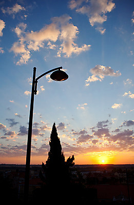 포토 JPG 해외이미지 나무 구름 가로등 하늘 날씨 사람없음 태양 일출 일몰 분위기 문학 해외202004 해외포토 자연요소 식물 공공시설 컨셉 노을 파일형식 이미지허브