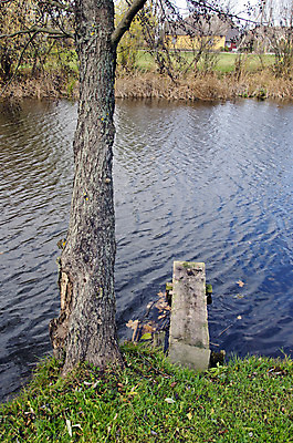 포토 JPG 해외이미지 나무 계절 자연 풍경 사람없음 물 강 가을 10월 해외202004 해외포토 자연요소 식물 날짜 생태계 파일형식 이미지허브