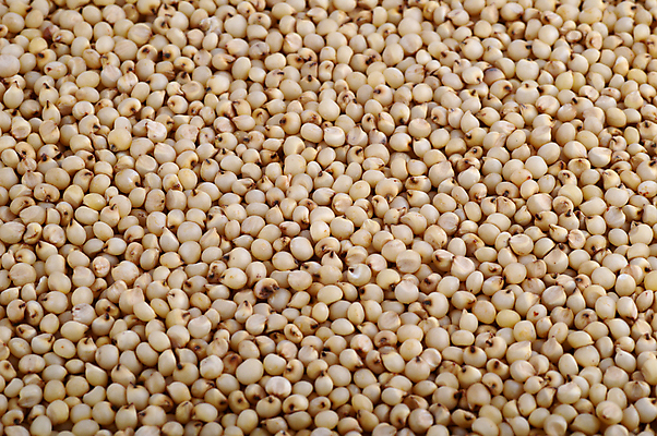 포토 JPG 해외이미지 식물 전통 음식 백그라운드 농업 다이어트 재료 부분 자연 건조 건강 식이요법 씨앗 사람없음 농작물 갈색 노란색 식사 수확 시골 원형 고명 황금 아침식사 낟알 시리얼 국자 유기농 질감 알맹이 날것 흙더미 내추럴 수수 영양분 채식주의자 비건 해외202004 해외포토 도형 웰빙 산업 컬러 주방용품 흙 생태계 채식 파일형식 더미 이미지허브