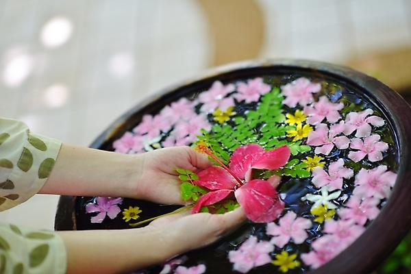 포토 JPG 해외이미지 손 꽃 들기 야외 신체부위 물 햇빛 스파 손모으기 대야 해외포토 자연요소 식물 모션 사람 손짓 태양 파일형식 이미지허브