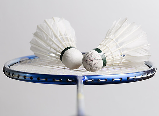 포토 JPG 해외이미지 줄 스포츠 백그라운드 공 조류 사람없음 회색 흰색 라켓 닫기 깃털 배드민턴 거짓말 해외202004 해외포토 동물 스포츠용품 컬러 모션 구기 파일형식 이미지허브