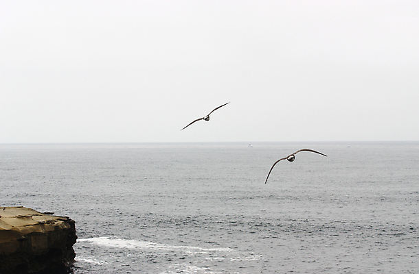 포토 JPG 해외이미지 동물 구름 야생동물 바다 백그라운드 컨셉 날개 자연 갈매기 조류 하늘 낚시 바람 휴가 풍경 사람없음 물 여름 파란색 태양 평화 맑음 일몰 자유 흰색 비행 우아함 닫기 깃털 부리 천국 무료 수평선 해외202004 해외포토 자연요소 계절 컬러 모션 레저 날씨 노을 생태계 파일형식 이미지허브