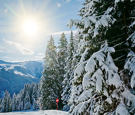 포토 JPG 해외이미지 나무 계절 유럽 겨울 자국 자연 하늘 날씨 스키 산 풍경 경사 사람없음 야외 빨간색 파란색 빛 햇빛 태양 계곡 맑음 이탈리아 추위 숲 휴양지 알프스 상록수 침엽수 전나무 선로 절정 해외202004 해외포토 자연요소 식물 나라 컬러 겨울스포츠 장소 생태계 파일형식 이미지허브