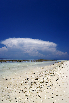 포토 JPG 해외이미지 아시아 모래 바다 섬 자연 휴가 열대 풍경 해변 사람없음 물 모래사장 산호 멀리 말레이시아 고립 이국적 해외202004 해외포토 자연요소 나라 자포동물 생태계 파일형식 이미지허브