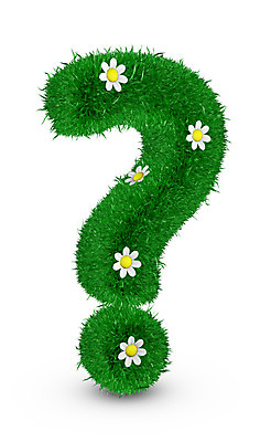 포토 JPG 해외이미지 모양 식물 꽃 백그라운드 컨셉 잎 텍스트 자연 아이디어 건강 사람없음 초록색 단어 3D 환경 흰색 질문 심볼 사인 검색 에코 문제 대답 생태학 헬프 해외202004 해외포토 문자 교육 컬러 도움 디지털합성 생태계 파일형식 이미지허브