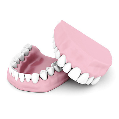 포토 JPG 해외이미지 모델 디자인 일러스트 건강 치과 사람없음 옆모습 치료 약 흰색 입 치아 오브젝트 치과의사 뿌리 외과 틀니 고립 돌봄 인공 해외202004 해외포토 뷰포인트 컬러 의학 모션 병원 신체부위 의사 소화기관 파일형식 이미지허브