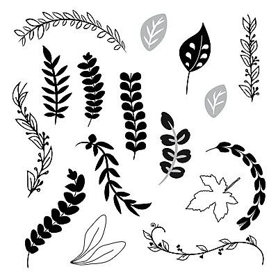 EPS 해외이미지 식물 손 디자인 꽃 실루엣 백그라운드 잎 꽃무늬 일러스트 자연 추상 잉크 프레임 흑백 여러명 그래픽 장식 여름 세트 연필 유행 정원 검은색 봄 수확 흰색 거친 낙서 인쇄 수집 그림 유기농 심플 우표 양치류 옛날 핸드메이드 힙스터 해외202004 해외일러스트 웰빙 계절 패션 컬러 다수 무늬 농업 학용품 촬영기법 사람 신체부위 필기구 생태계 파일형식 벡터 이미지허브