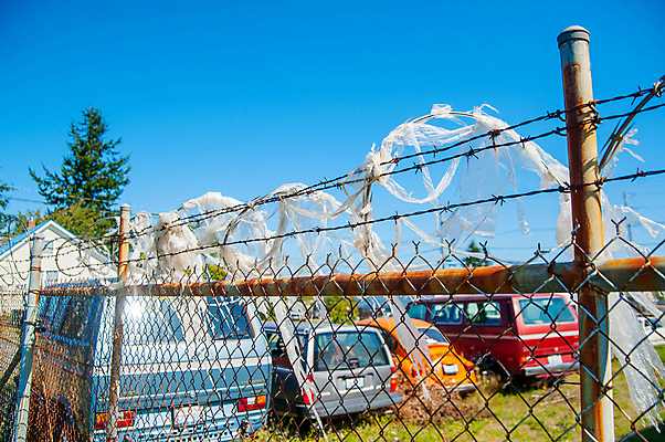 포토 JPG 해외이미지 동물 응시 문화 도로 여행 지도 배낭 자동차 자연 하늘 휴가 사랑 씨앗 풍경 사람없음 야외 초록색 파란색 태양 여행객 카메라 미국 끝 상품 발사 배낭여행 시력 방문 동쪽 방법 백패커 해외202004 해외포토 자연요소 식물 시선 감정 길 육상교통 컬러 북아메리카 가방 교통시설 사람 전자제품 방향 생태계 파일형식 이미지허브