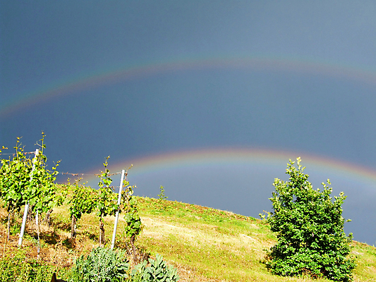 포토 JPG 해외이미지 사람없음 먼지떨이 해외202004 해외포토 청소도구 파일형식 이미지허브