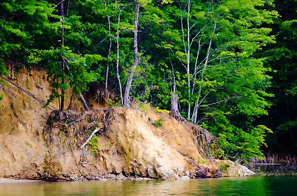 포토 JPG 해외이미지 나무 식물 공원 호수 모래 벽 여행 오렌지 자연 하늘 산 풍경 사람없음 빨간색 세로 초록색 파란색 강 태양 골짜기 침묵 절벽 사막 탐험 바위 물방울 개울 황무지 숲 땅 부식 뿌리 지역 암초 사암 천국 내추럴 웅장함 전국 지질학 해외202004 해외포토 자연요소 공공시설 교육 컬러 과일 소리 돌_바위 생태계 파일형식 이미지허브