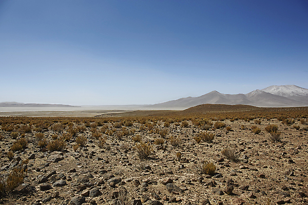 포토 JPG 해외이미지 구름 도로 호수 모래 여행 자연 하늘 산 건조 풍경 사람없음 물 파란색 컬러풀 미국 블록 사막 바위 플랫 고독 인도인 소금 칠레 남쪽 석호 산악지대 웅장함 전국 해외202004 해외포토 자연요소 외국인 감정 길 컬러 북아메리카 교통시설 동양인 돌_바위 남아메리카 방향 생태계 파일형식 이미지허브