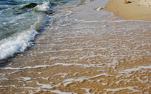 포토 JPG 해외이미지 모래 파도 바다 여행 자연 조류 날씨 휴가 휴식 사람없음 야외 물 여름 갈색 걷기 환경 서핑 가장자리 고독 지중해 윤곽 장면 단계 해외202004 해외포토 자연요소 동물 계절 감정 컬러 컨셉 모션 수상스포츠 둘레 생태계 파일형식 이미지허브