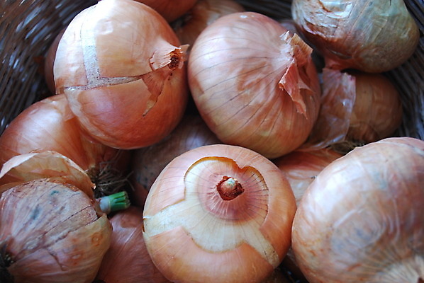 포토 JPG 해외이미지 음식 줄기 채소 재료 양파 요리 사람없음 초록색 농작물 수확 껍질 흰색 신선 원형 맛 다발 먹기 피부 아로마 뿌리 파 악취 스페인어 막 해외202004 해외포토 도형 식물 컬러 컨셉 농업 모션 신체부위 냄새 파일형식 이미지허브