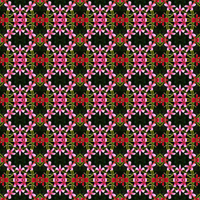 포토 JPG 해외이미지 꽃 분홍색 백그라운드 패턴 자연 벽지 추상 사람없음 장식 빨간색 컬러풀 덩굴 즐거움 향기 선원 해외202004 해외포토 식물 감정 컬러 무늬 생태계 냄새 파일형식 이미지허브