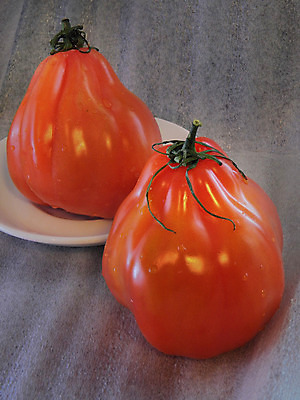 포토 JPG 해외이미지 그릇 접시 음식 줄기 백그라운드 2 토마토 채소 함께함 건강 사람없음 빨간색 세로 초록색 빛 활발 젖음 흰색 물방울 하트 신선 최고 먹기 컵받침 오브젝트 유기농 날것 슛 숙성 채식주의자 비건 해외202004 해외포토 모양 식물 식기 웰빙 컬러 컨셉 모션 받침대 채식 파일형식 이미지허브