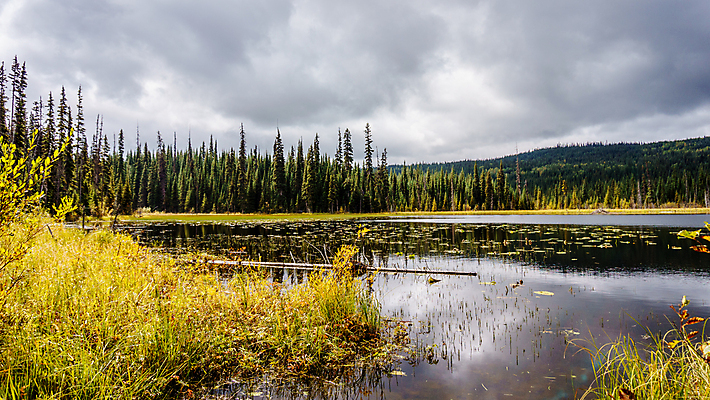 포토 JPG 해외이미지 구름 계절 호수 여행 백그라운드 자연 하늘 낚시 산 그림자 풍경 사람없음 야외 초록색 물 햇빛 반사 평화 환경 하이킹 가을 저수지 소나무 개울 숲 즐거움 해외202004 해외포토 자연요소 나무 감정 컬러 컨셉 레저 강 태양 생태계 파일형식 이미지허브