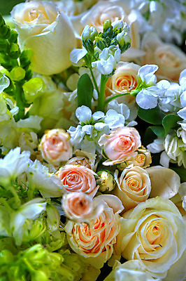 포토 JPG 해외이미지 식물 전통 라이프스타일 꽃 행복 꽃다발 컨셉 꽃무늬 오렌지 휴가 기념 사람없음 빨간색 초록색 컬러풀 장미 노란색 기쁨 흰색 축하 기회 내추럴 많음 해외202004 해외포토 감정 컬러 무늬 과일 생활 파일형식 이미지허브