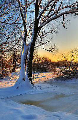 포토 JPG 해외이미지 나무 계절 공원 호수 여행 크리스마스 겨울 오렌지 자연 하늘 날씨 풍경 사람없음 야외 빨간색 파란색 빛 강 컬러풀 햇빛 태양 일출 냉동 얼음 황혼 일몰 새벽 추위 흰색 나뭇가지 시골 황무지 저녁 숲 12월 역동적 서리 장면 1월 내추럴 눈내림 해외202004 해외포토 자연요소 식물 공공시설 기념일 컬러 컨셉 과일 눈_날씨 노을 날짜 야간 생태계 파일형식 이미지허브